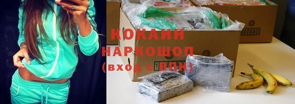 бошки Алексин