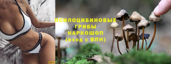 бошки Алексин