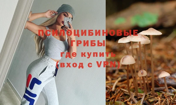 эйфоретик Пестово