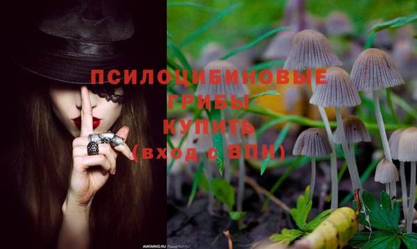 бошки Алексин