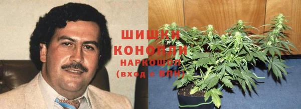 бошки Алексин